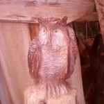 IMG_20160523_184419
