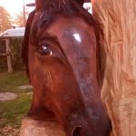 IMG_20161029_174856