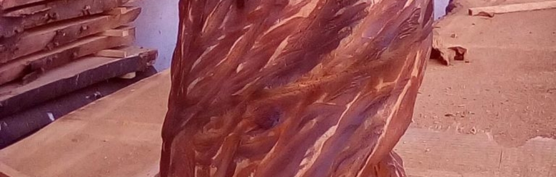 Uccelli 17