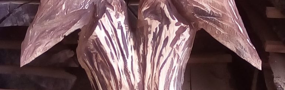 Uccelli 3