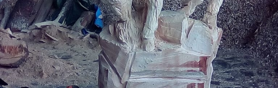 Animali 4