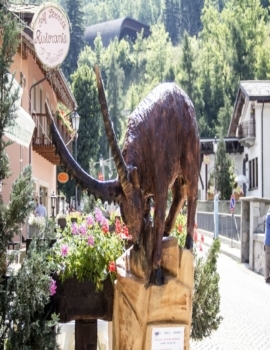 Animali 2