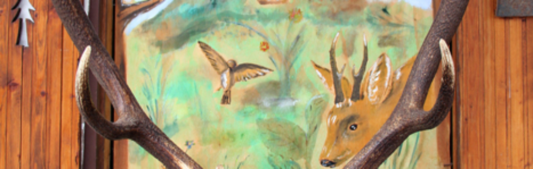 Animali 3
