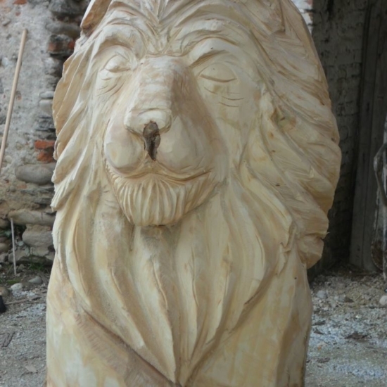 Animali 14