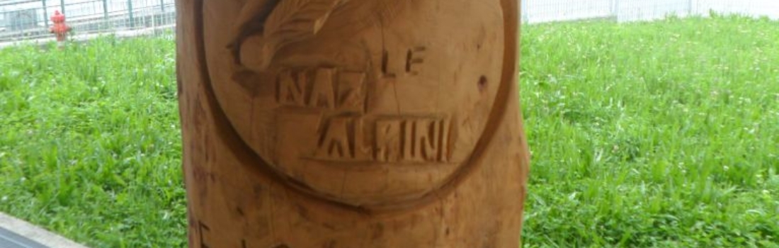 Alpini 5